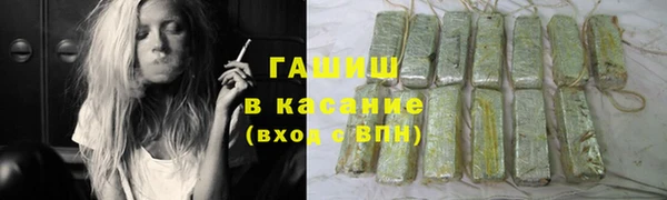 ГАЛЛЮЦИНОГЕННЫЕ ГРИБЫ Богданович